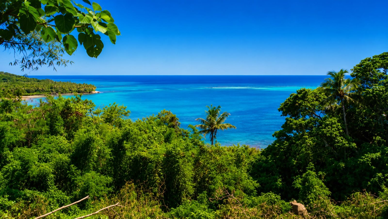 Koro Seaview Lot 173 — photo 1 of 7
