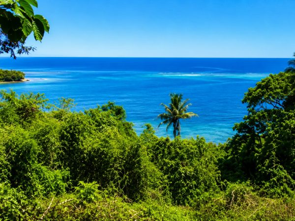 Koro Seaview Lot 173 — photo 7 of 7