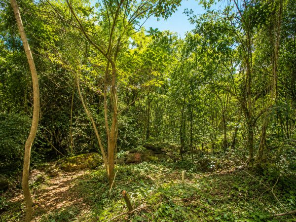 Koro Seaview Lot 119 — photo 2 of 7