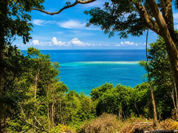 Koro Seaview Lot 171 — photo 4 of 7