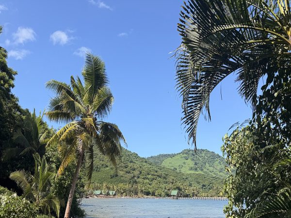 Koro Seaview Lot 27 — photo 3 of 7