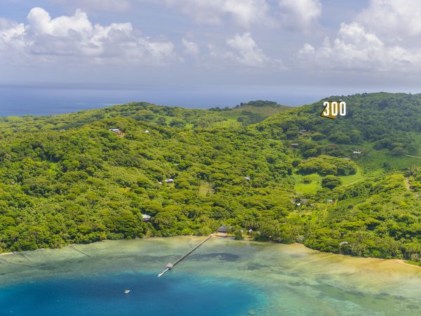 Koro Seaview Lot 300 — photo 3 of 7