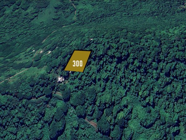 Koro Seaview Lot 300 — photo 5 of 7