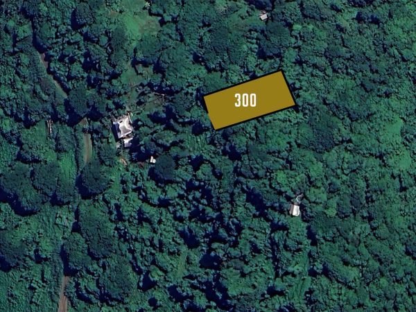 Koro Seaview Lot 300 — photo 6 of 7