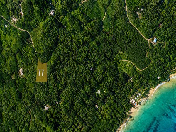 Koro Seaview Lot 77 — photo 1 of 7