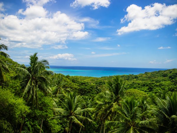 Koro Seaview Lot 80 — photo 3 of 7