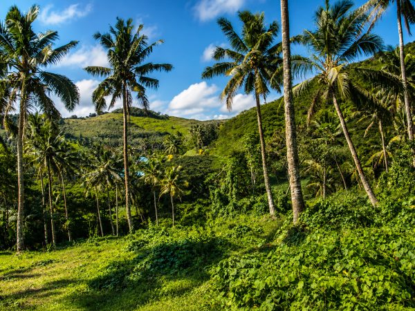 Koro Seaview Lot 80 — photo 4 of 7