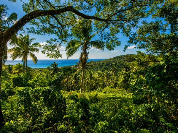 Koro Seaview Lot 80 — photo 5 of 7